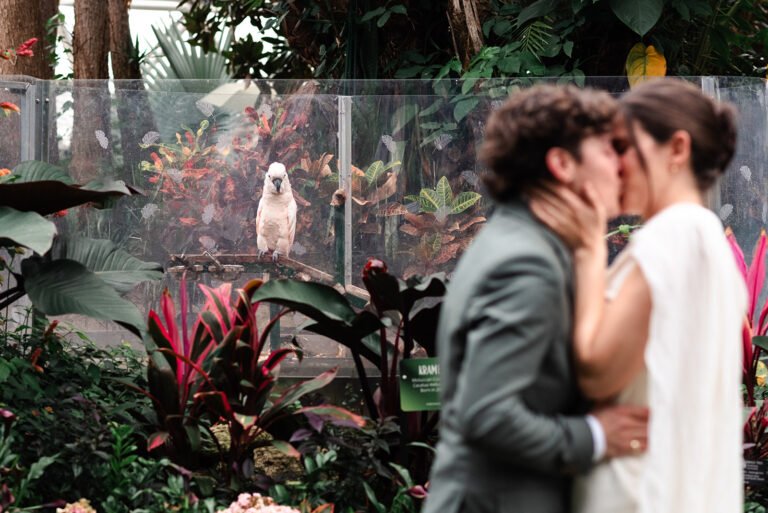 morning bloedel conservatory elopement