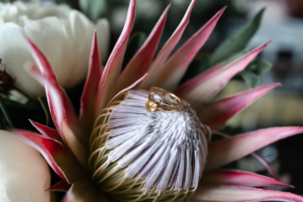 Lesbian Love Story on Granville Island